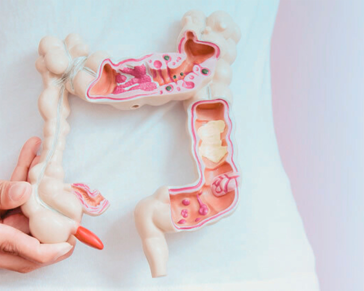 Coloproctologia
